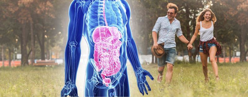 Bacillus Subtilis Drink - Gesunde Verdauung - Gesunder Mensch