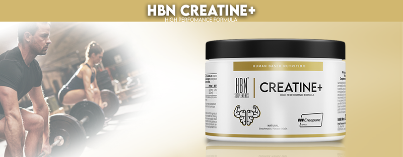 CREATINE+ - Effektiv, Sicher, Fundiert!