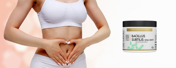 HBN - Bacillus Subtilis für den Darm und darüber hinaus