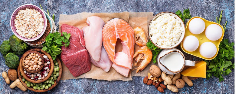 Die Eiweißrevolution — Die Theorie der MAP — Teil 1