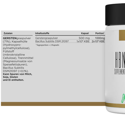 HBN - Bacillus Subtilis DSM 21097 - 60 Kapseln